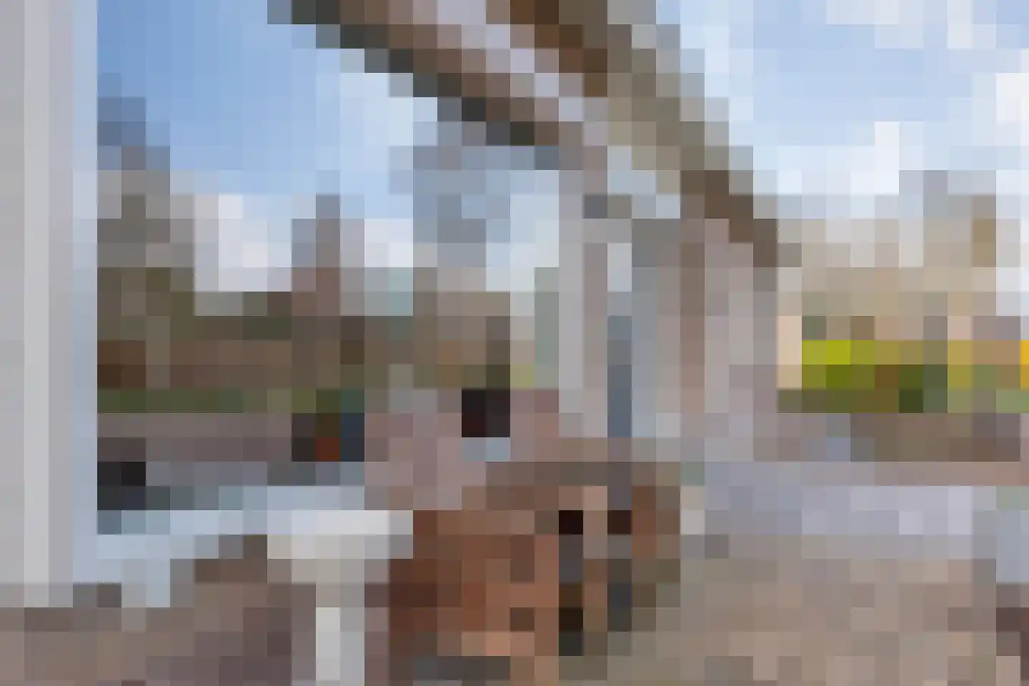 Hugo de Vrieslaan 17 Zwolle thumbnail 55