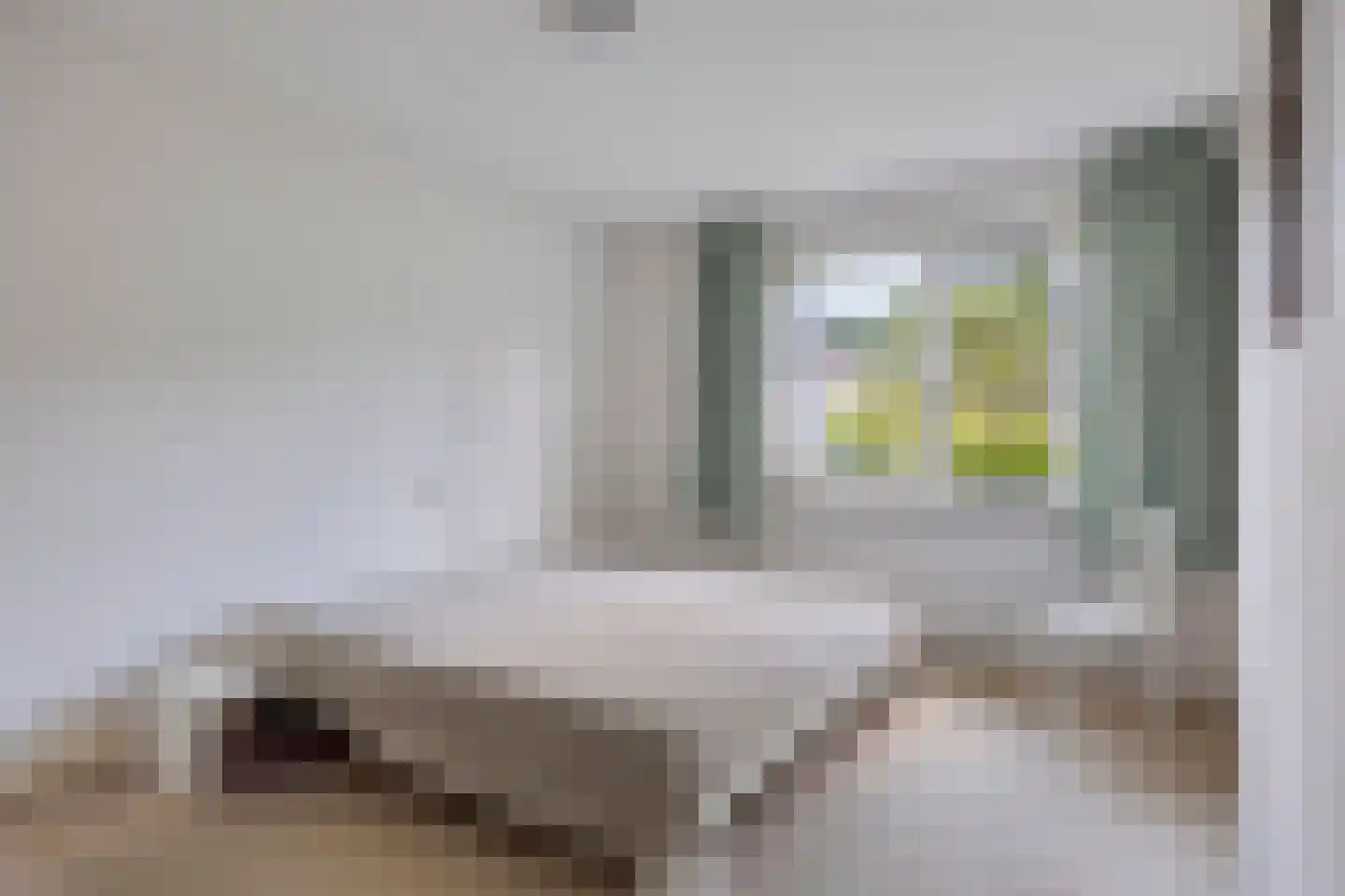 Hugo de Vrieslaan 19 Zwolle thumbnail 18