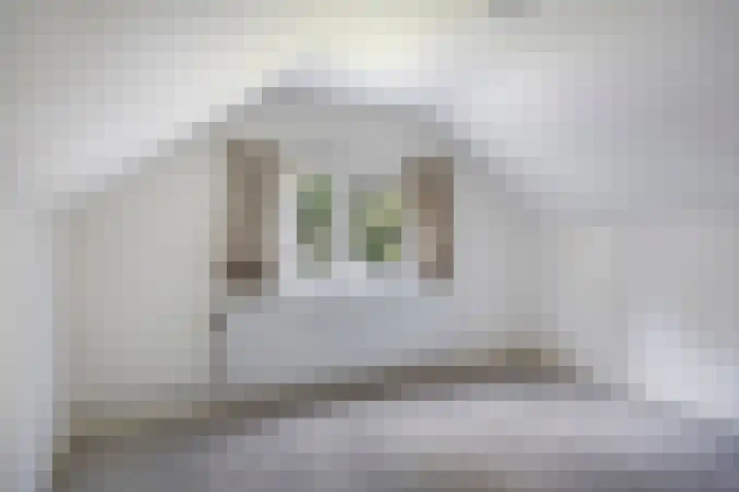 Hugo de Vrieslaan 19 Zwolle thumbnail 27