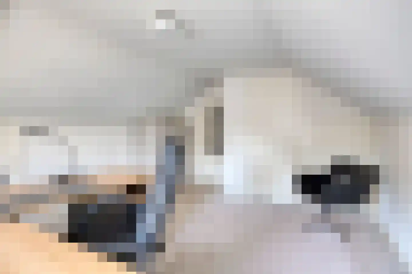 Hugo de Vrieslaan 19 Zwolle thumbnail 32