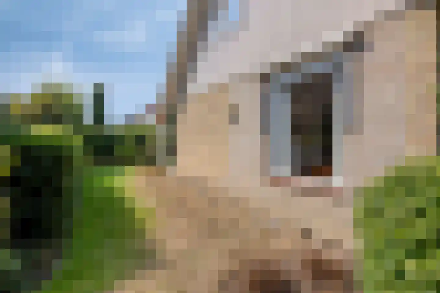 Hugo de Vrieslaan 19 Zwolle thumbnail 38