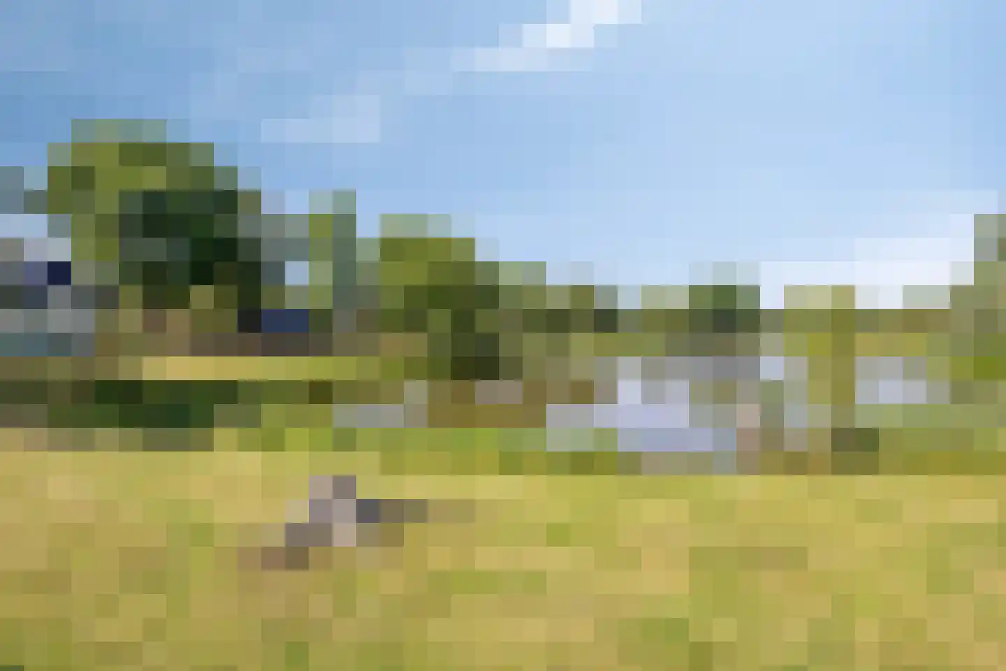 Hugo de Vrieslaan 19 Zwolle thumbnail 41
