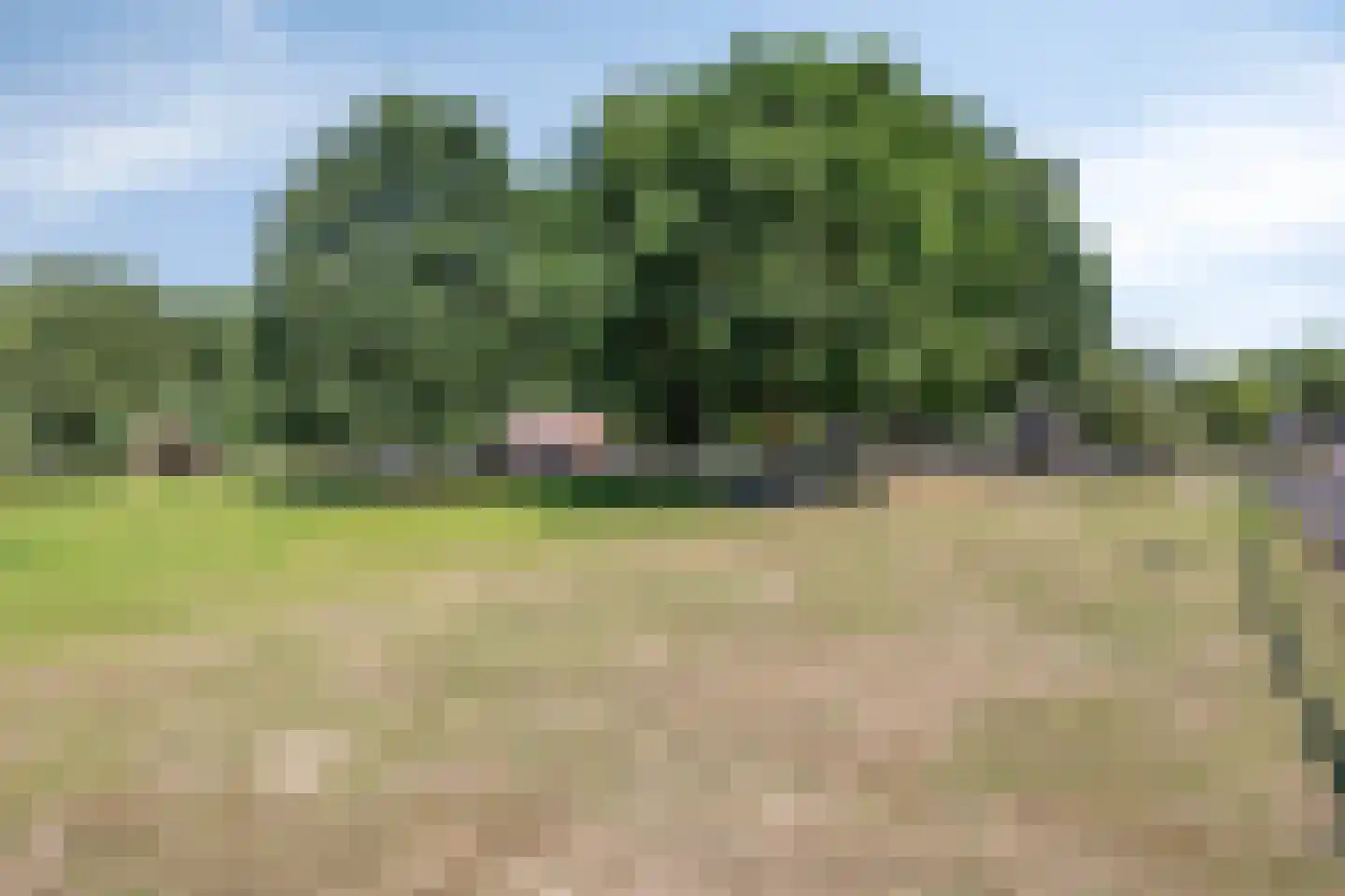 Hugo de Vrieslaan 19 Zwolle thumbnail 42