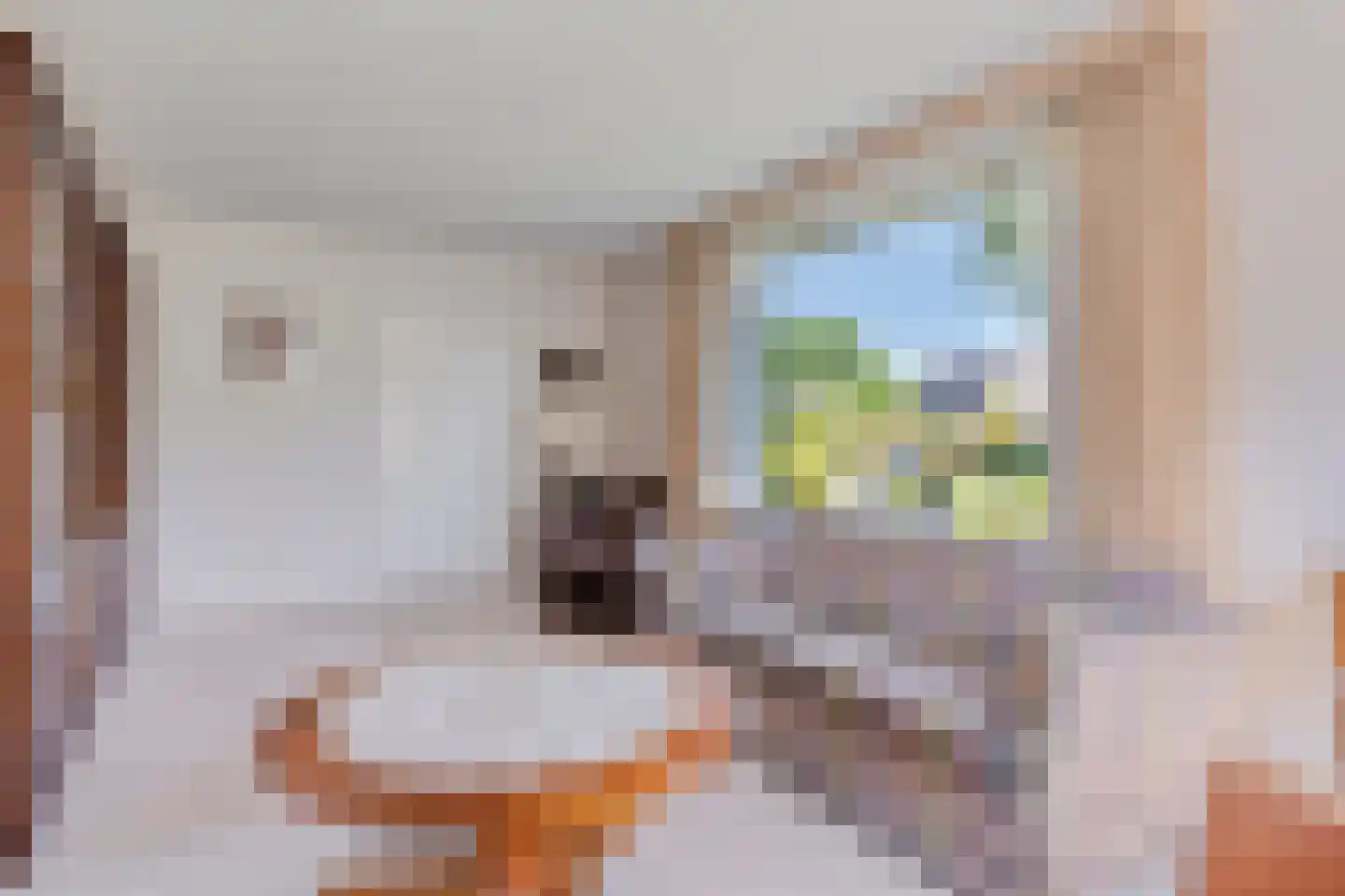 Hugo de Vrieslaan 19 Zwolle thumbnail 7