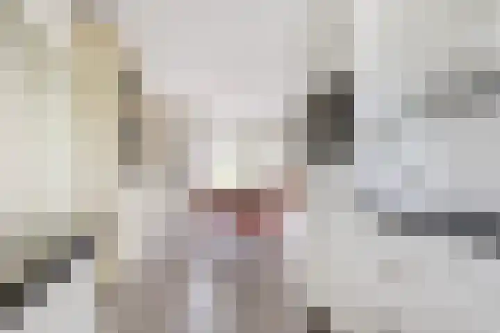 Hugo de Vrieslaan 2 a Gouda thumbnail 11
