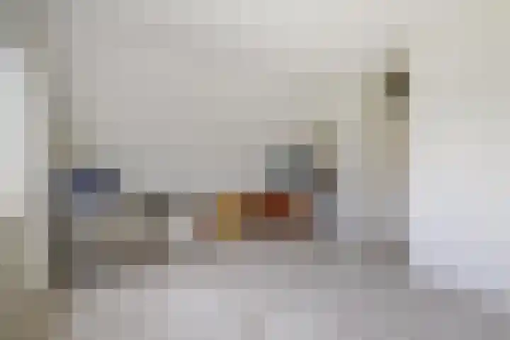 Hugo de Vrieslaan 2 a Gouda thumbnail 21