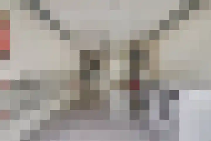 Hugo de Vrieslaan 2 a Gouda thumbnail 32