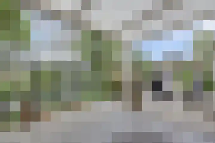 Hugo de Vrieslaan 2 a Gouda thumbnail 33