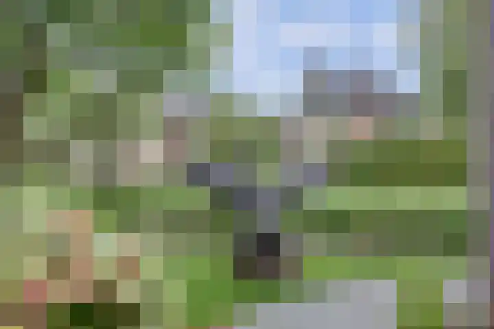 Hugo de Vrieslaan 2 a Gouda thumbnail 36