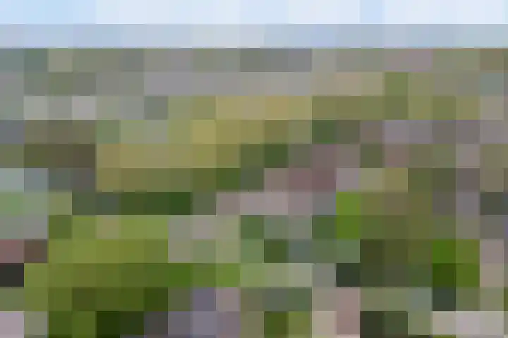 Hugo de Vrieslaan 2 a Gouda thumbnail 38