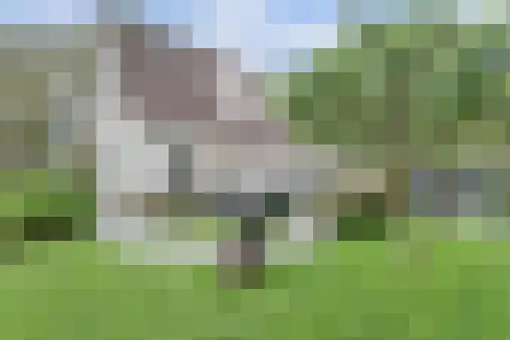 Hugo de Vrieslaan 2 a Gouda thumbnail 4