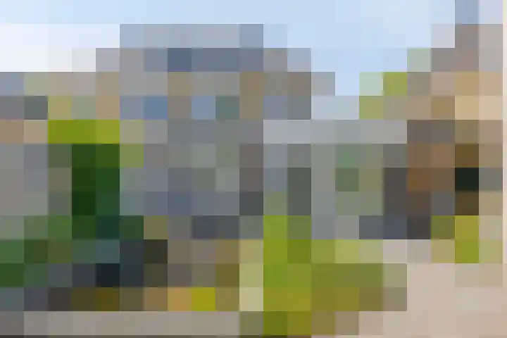 Hugo de Vrieslaan 76 Oegstgeest thumbnail 20