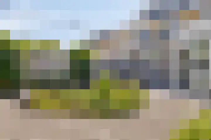 Hugo de Vrieslaan 76 Oegstgeest thumbnail 38