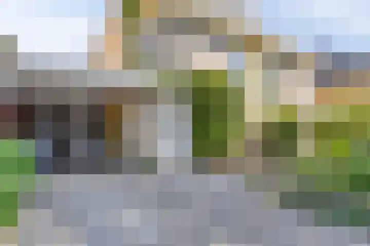 Hugo de Vrieslaan 76 Oegstgeest thumbnail 39