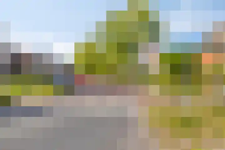 Hugo de Vrieslaan 76 Oegstgeest thumbnail 41