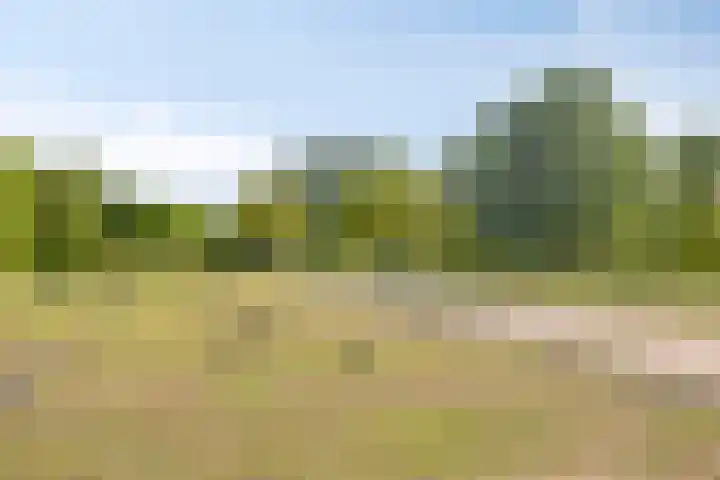 Hugo de Vrieslaan 76 Oegstgeest thumbnail 43