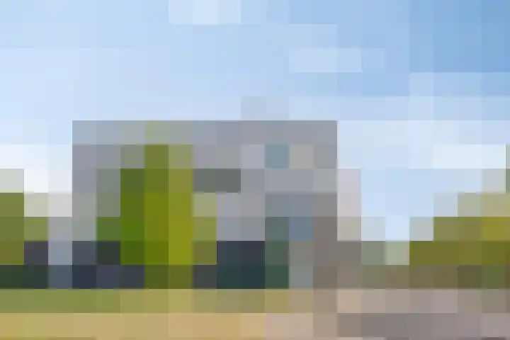 Hugo de Vrieslaan 76 Oegstgeest thumbnail 45