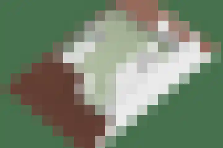 Hugo de Vrieslaan 76 Oegstgeest thumbnail 50