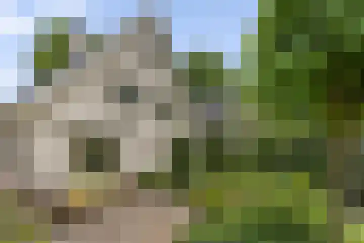 Hugo de Vriespark 4 Lunteren thumbnail 37