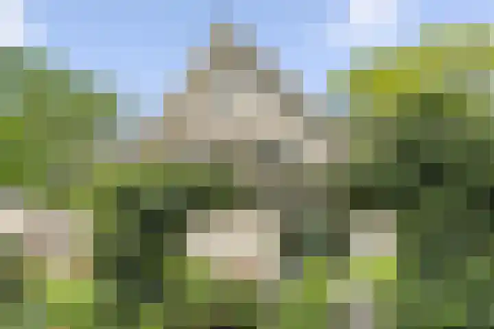 Hugo de Vriespark 4 Lunteren thumbnail 38