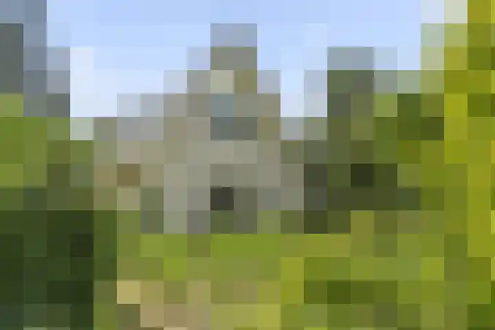 Hugo de Vriespark 4 Lunteren thumbnail 39