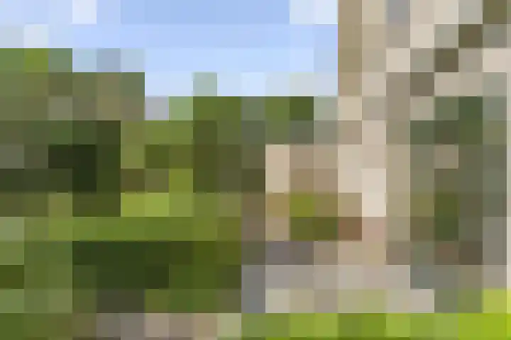 Hugo de Vriespark 4 Lunteren thumbnail 40