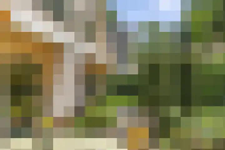 Hugo de Vriespark 4 Lunteren thumbnail 42