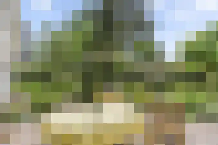 Hugo de Vriespark 4 Lunteren thumbnail 43