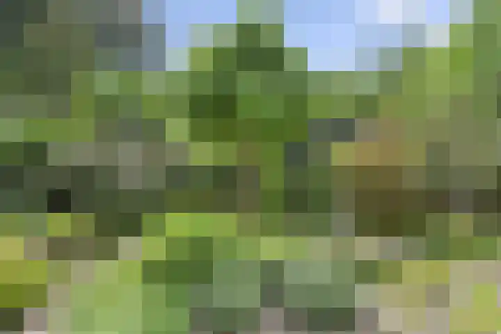 Hugo de Vriespark 4 Lunteren thumbnail 45
