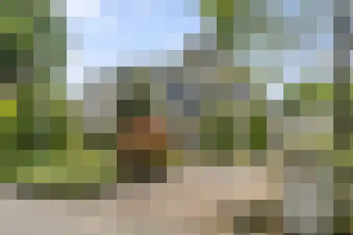 Hugo de Vriespark 4 Lunteren thumbnail 49
