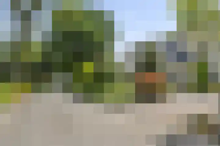 Hugo de Vriespark 4 Lunteren thumbnail 5