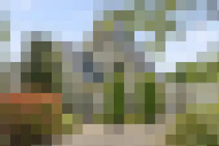 Hugo de Vriespark 4 Lunteren thumbnail 6