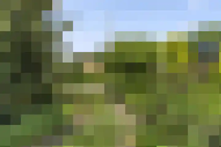 Hugo de Vriespark 4 Lunteren thumbnail 8