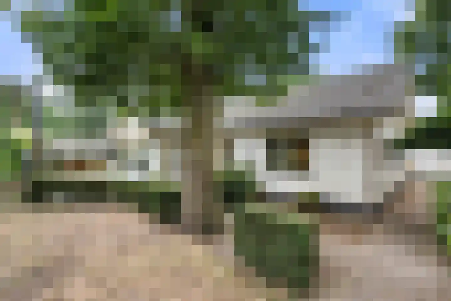 Hugo de Vriespark 5 Lunteren thumbnail 35