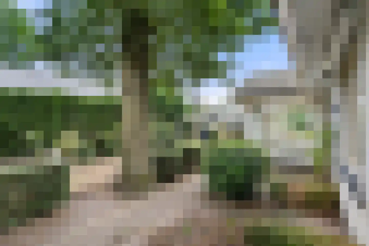 Hugo de Vriespark 5 Lunteren thumbnail 36