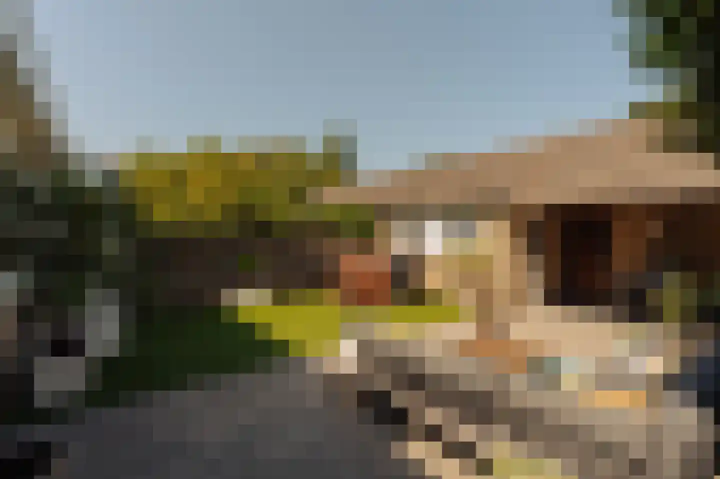 Hugo de Vriesstraat 11 Aalsmeer thumbnail 19