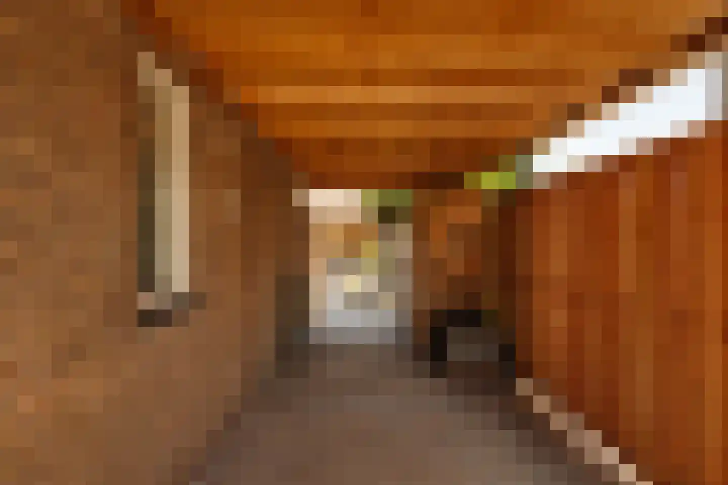 Hugo de Vriesstraat 11 Aalsmeer thumbnail 20