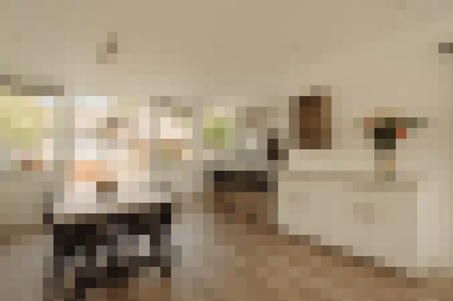 Hugo de Vriesstraat 11 Aalsmeer thumbnail 9