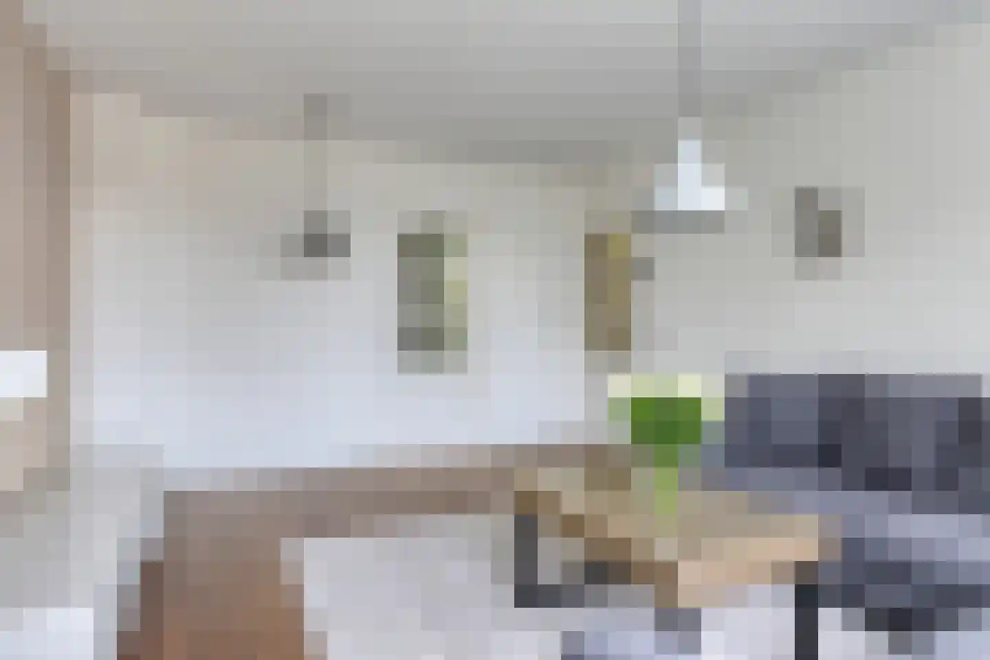 Hugo de Vriesstraat 14 Vlaardingen thumbnail 19