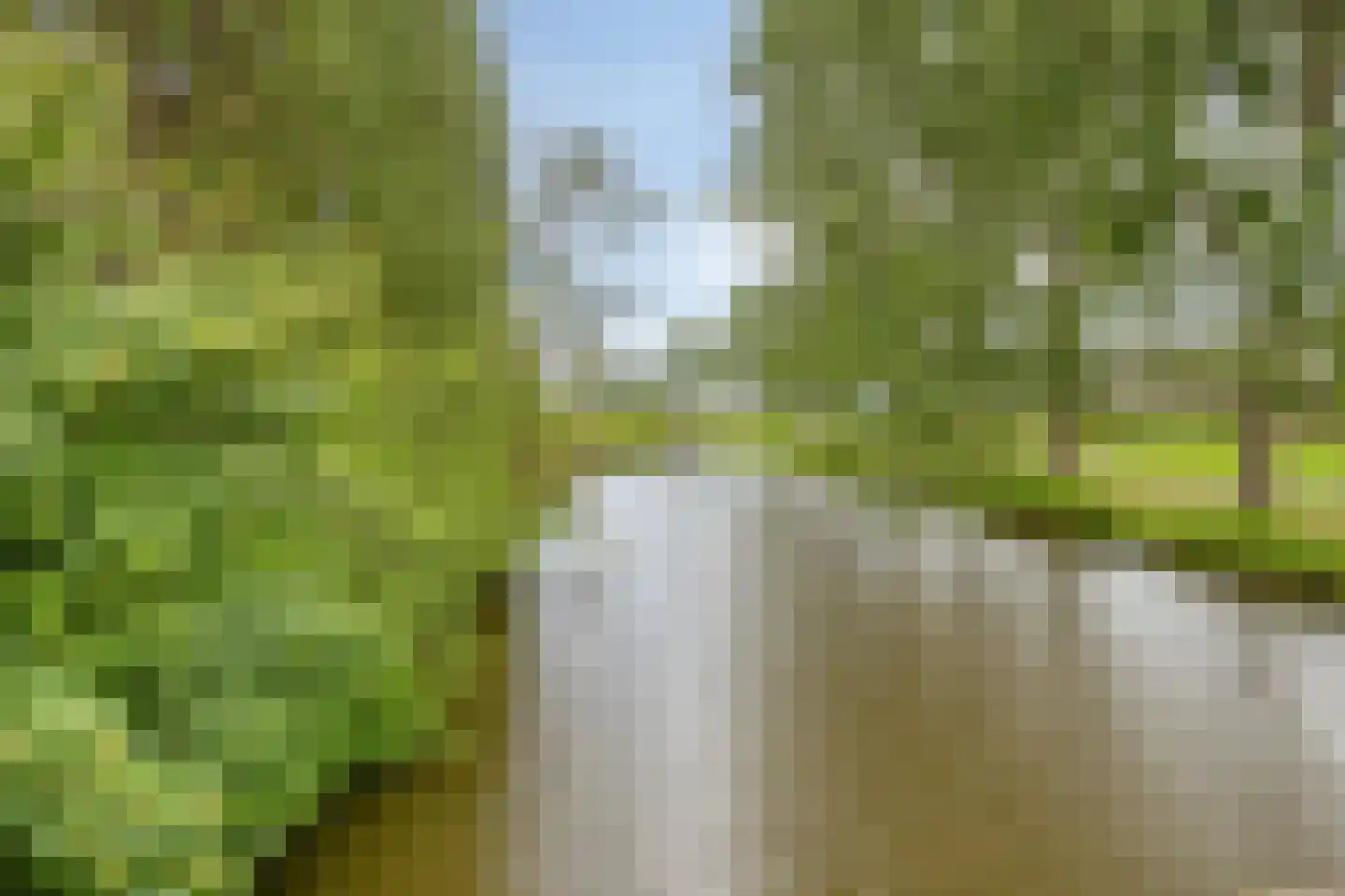 Hugo de Vriesstraat 14 Vlaardingen thumbnail 30