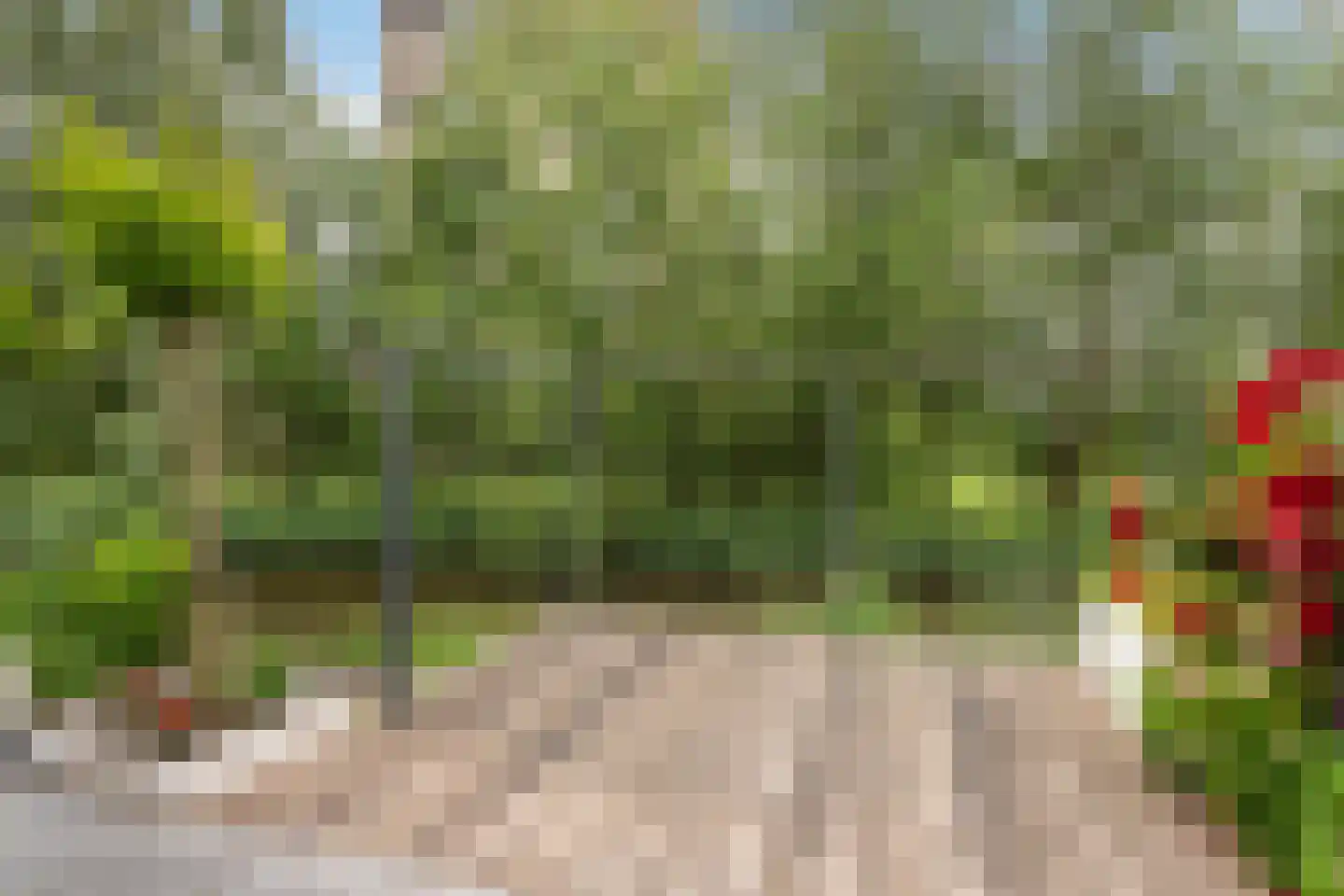 Hugo de Vriesstraat 9 Vlaardingen thumbnail 23