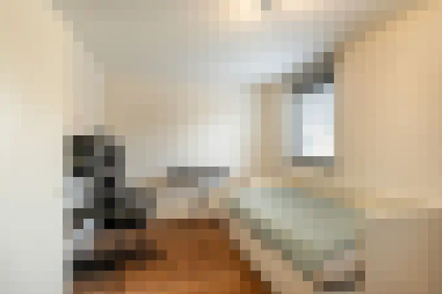 Hugo de Vriesstraat 9 Vlaardingen thumbnail 31