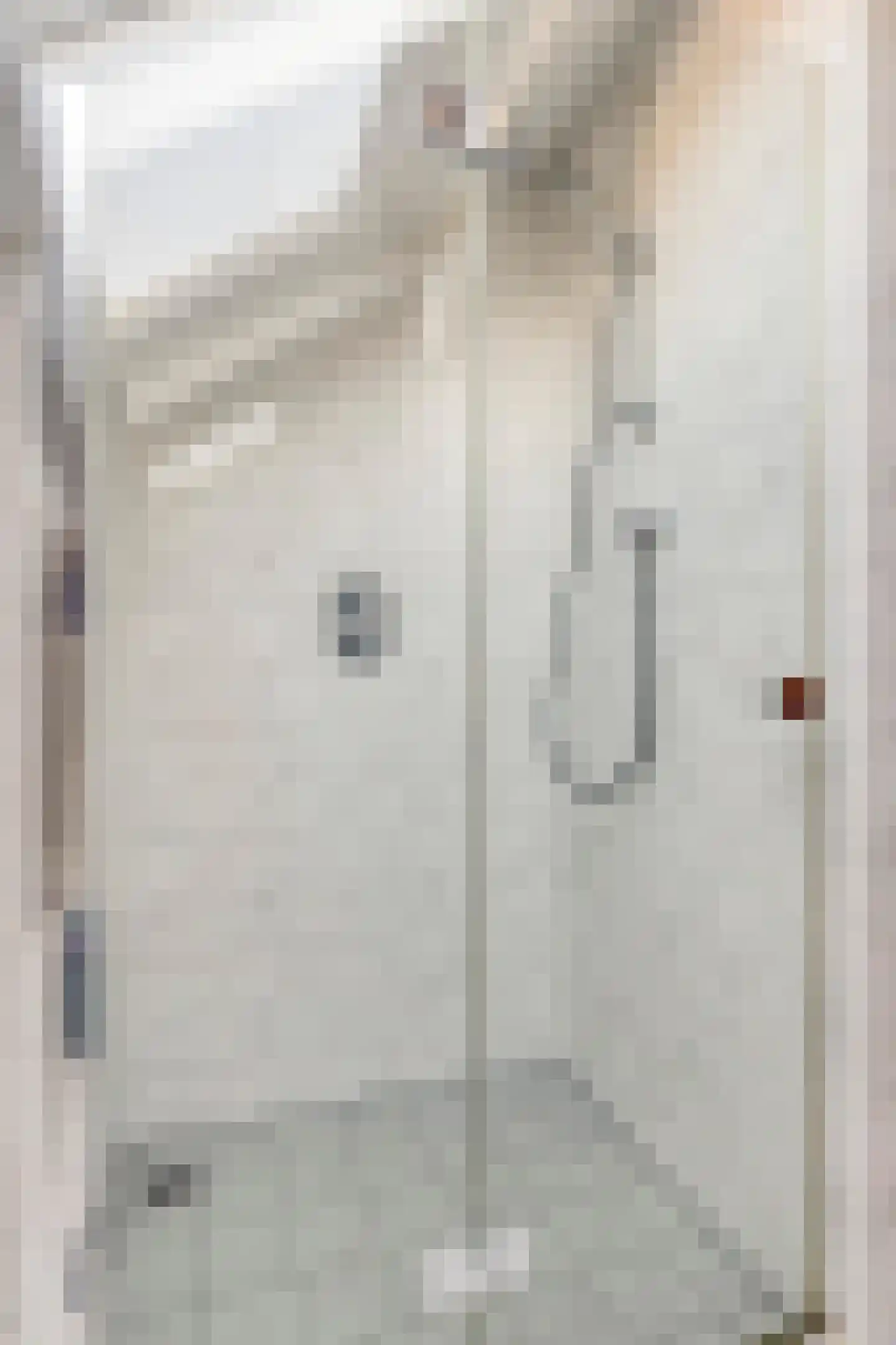 Hugo de Vriesweg 1 Amstelveen thumbnail 32