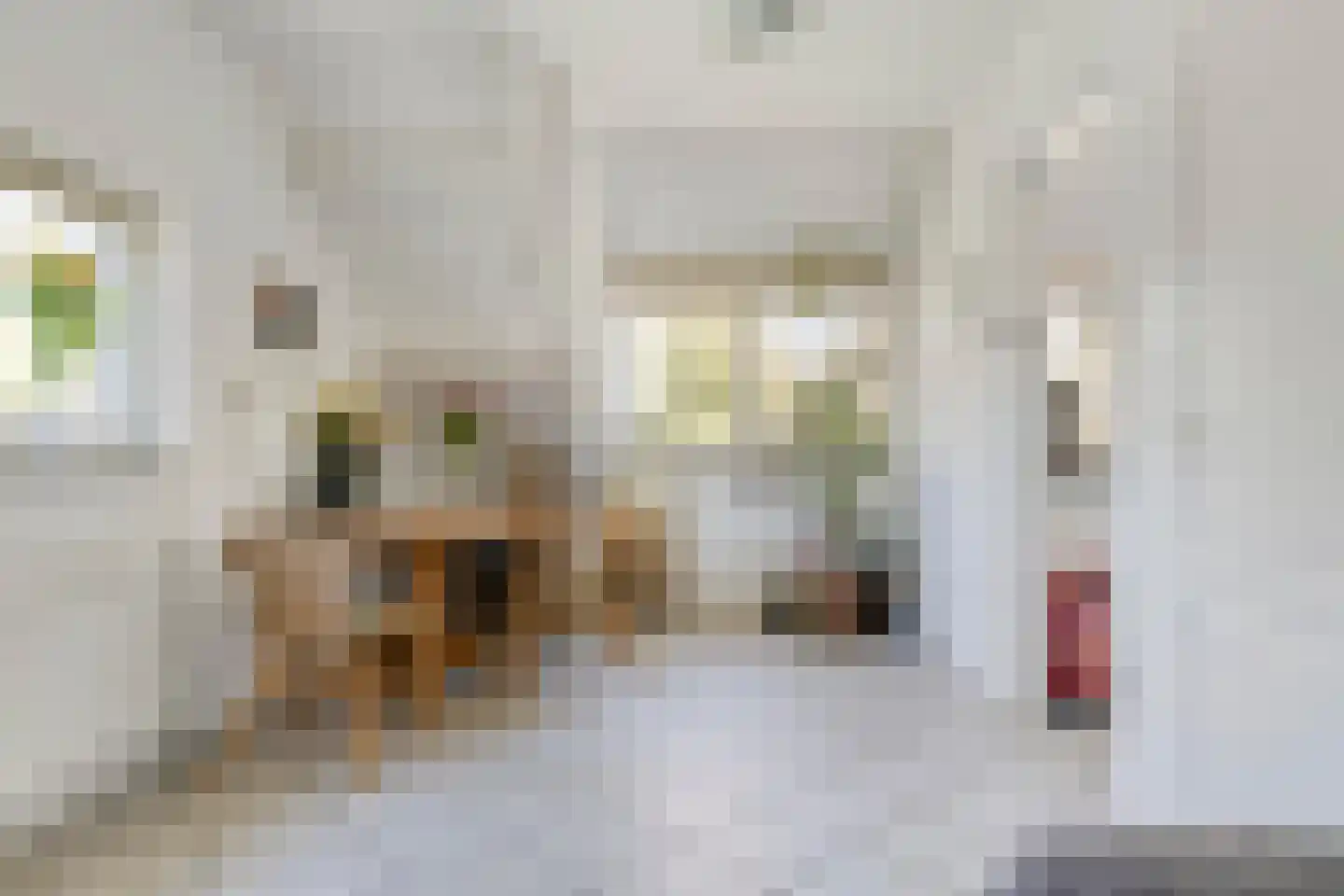 Hugo de Vriesweg 1 Amstelveen thumbnail 43