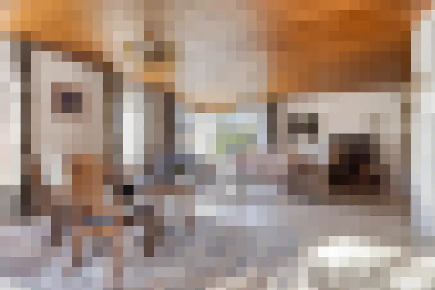 Hugo de Vriesweg 1 Amstelveen thumbnail 7
