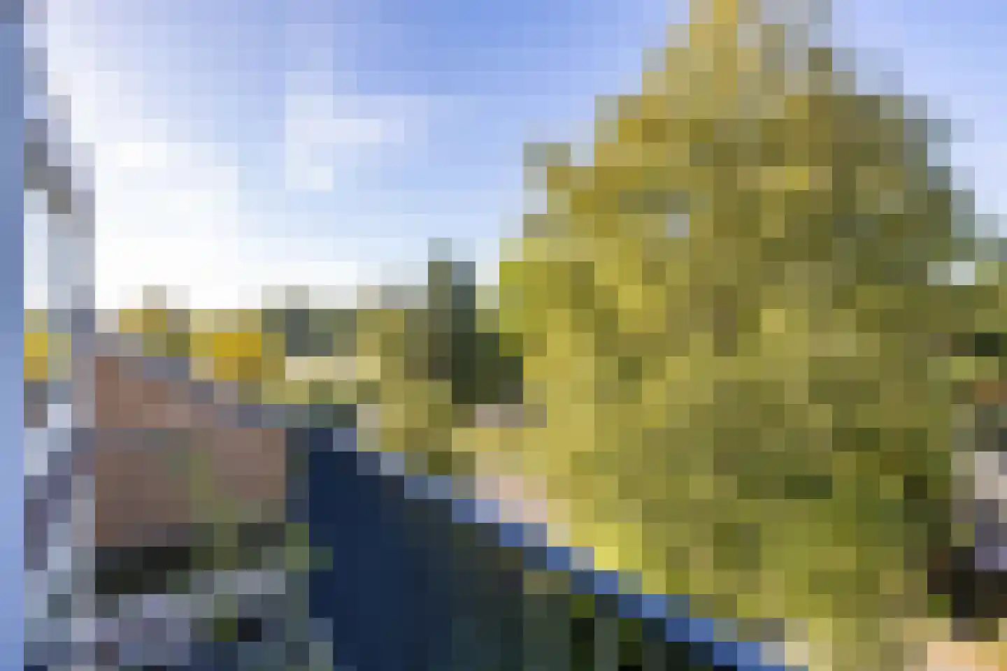 Hugo de Vriesweg 17 Haren Gn thumbnail 25