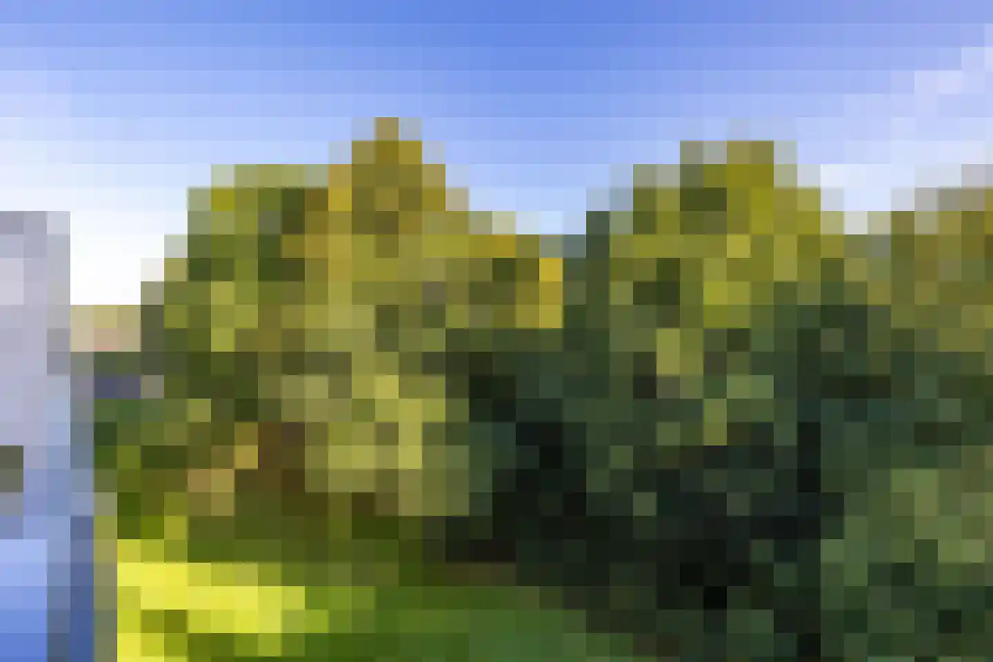 Hugo de Vriesweg 17 Haren Gn thumbnail 33