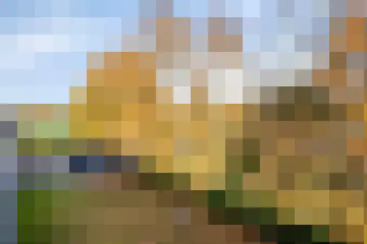 Hugo de Vriesweg 41 Haren Gn thumbnail 16