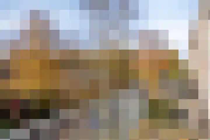 Hugo de Vriesweg 41 Haren Gn thumbnail 17