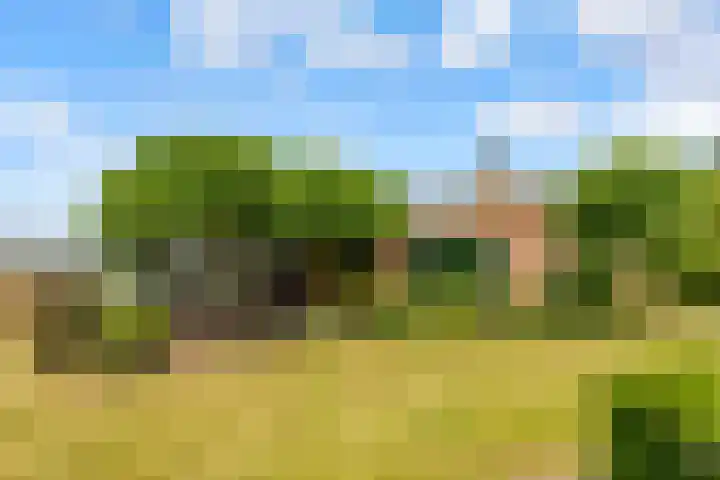 Hugo de Vriesweg 8 Almere thumbnail 4